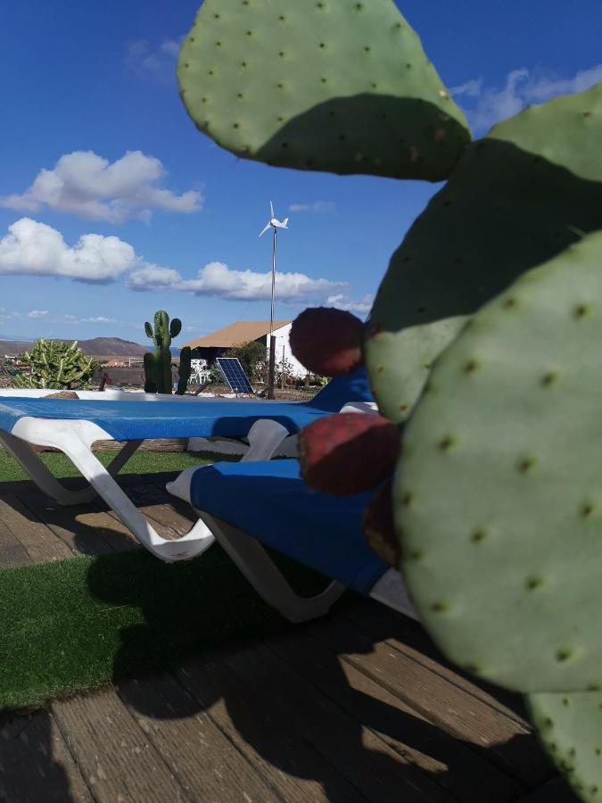 Loft Armony * Villaverde (Fuerteventura)